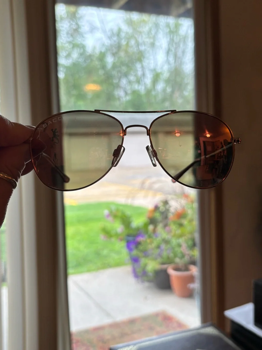 Abaco polarized avery